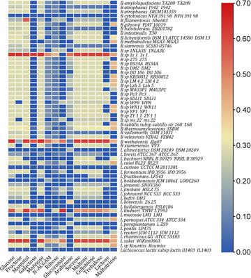 In Silico Prediction of Novel Probiotic Species Limiting Pathogenic Vibrio Growth Using Constraint-Based Genome Scale Metabolic Modeling